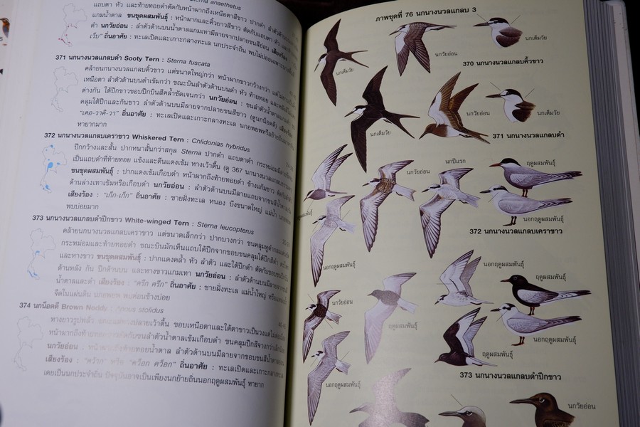 คู่มือดูนก หมอบุญส่ง เลขะกุล นกเมืองไทย (ฉบับ 100 ปี หมอบุญส่ง เลขะกุล) ปี 2550