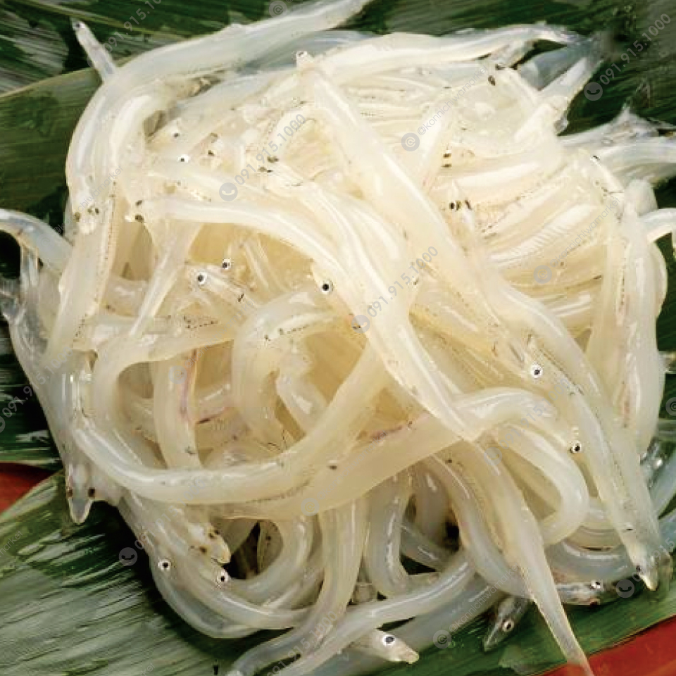 ปลาเงิน 3-5 cm แช่แข็ง / Frozen Shirauo 3-5 cm.