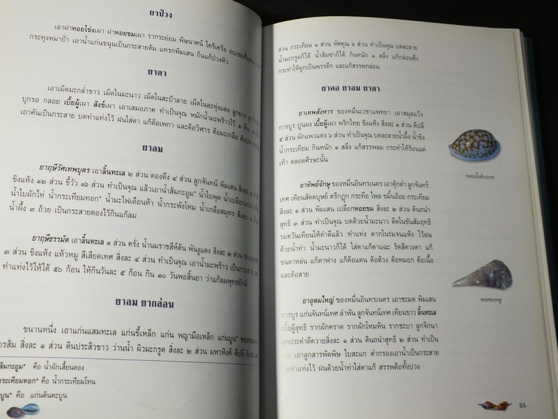 หอยเป็นยา ตามตำรับยาการเเพทย์เเผนไทย โดย เเพทย์หญิงเพ็ญนภา ทรัพย์เจริญ ปกแข็ง ปี 2545