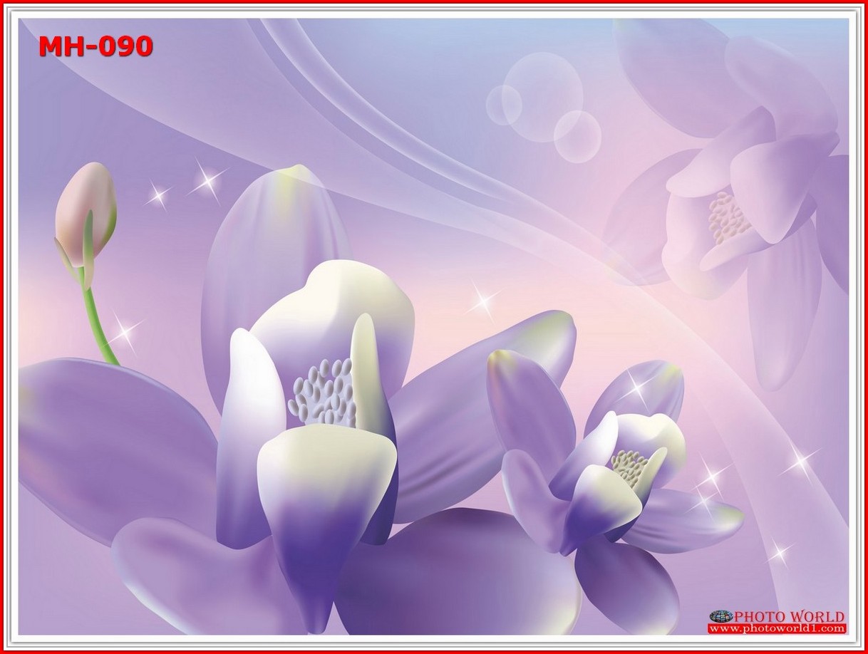 วอลเปเปอร์รูปภาพติดผนังสั่งทำ มีภาพให้เลือกกว่า 50,000 ภาพ ออกแบบกราฟฟิค หรือ รูปภาพตามที่ท่านกำหนด ในสไตล์ท่านเอง "custom made"