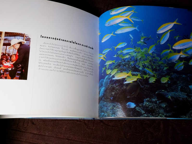 สมเด็จพระนางเจ้าสิริกิติ์ พระบรมราชินีนาถกับสิ่งเเวดล้อม