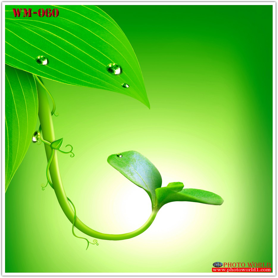 วอลเปเปอร์รูปภาพติดผนังสั่งทำ มีภาพให้เลือกกว่า 50,000 ภาพ ออกแบบกราฟฟิค หรือ รูปภาพตามที่ท่านกำหนด ในสไตล์ท่านเอง "custom made"