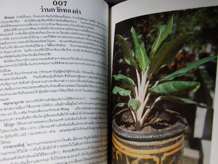 คัมภีร์ว่าน และไม้มงคล โดย สนั่น ทวีสมบัติ ปกแข็ง 212 หน้า พิมพ์ปี 2524