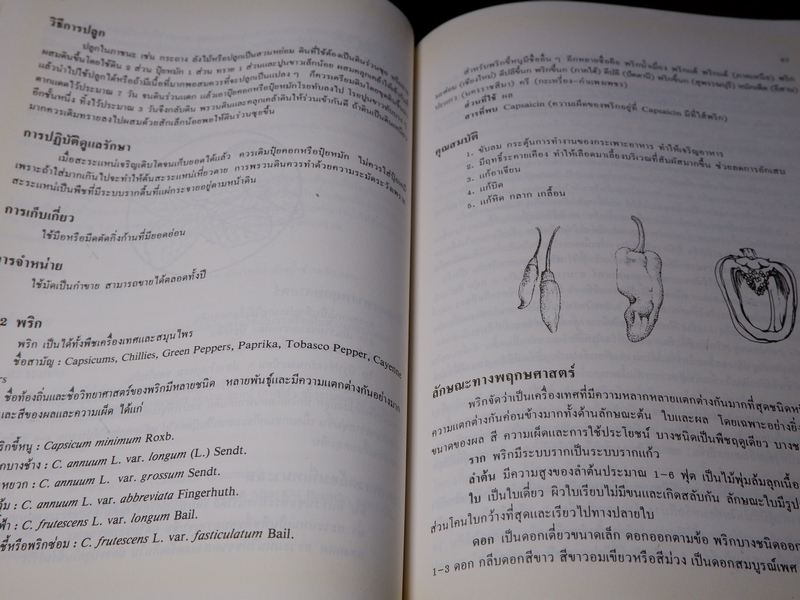 พืชเครื่องเทศ เเละ สมุนไพร โดย รุ่งรัตน์ เหลืองนทีเทพ