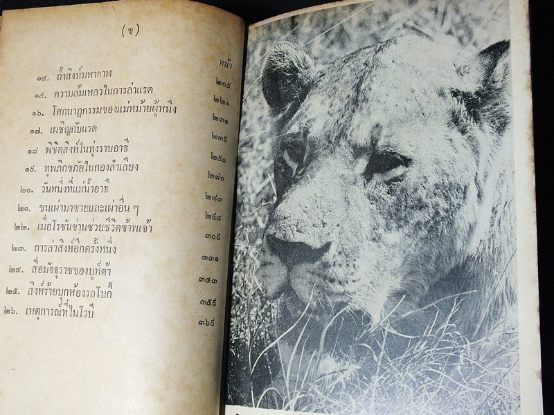 สิงห์ร้ายเเห่งซาโว โดย หมอบุญส่ง เลขะกุล เเละ เจ้าปู่สมิงไพร ปกแข็ง พิมพ์ครั้งเเรก ปี 2514