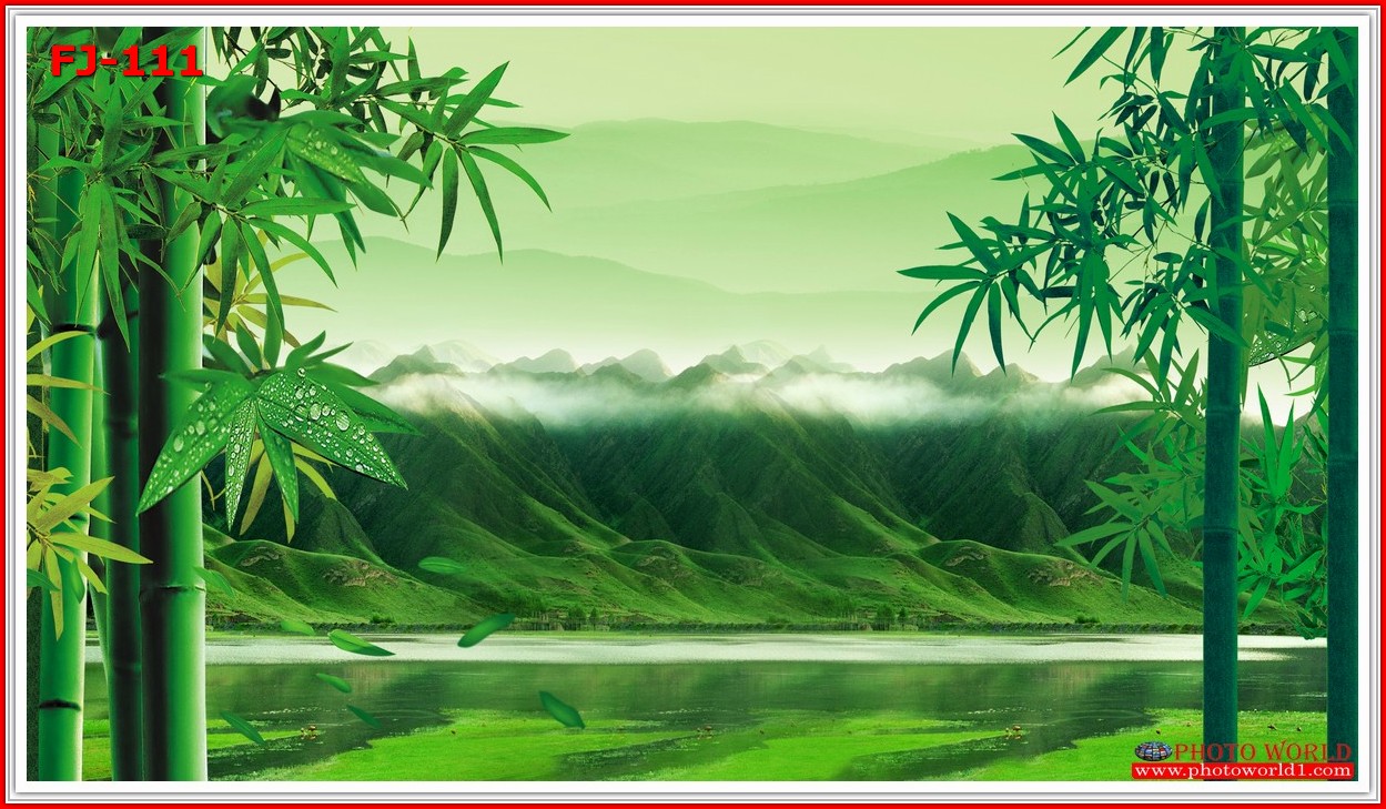 วอลเปเปอร์รูปภาพติดผนังสั่งทำ มีภาพให้เลือกกว่า 50,000 ภาพ ออกแบบกราฟฟิค หรือ รูปภาพตามที่ท่านกำหนด ในสไตล์ท่านเอง "custom made"