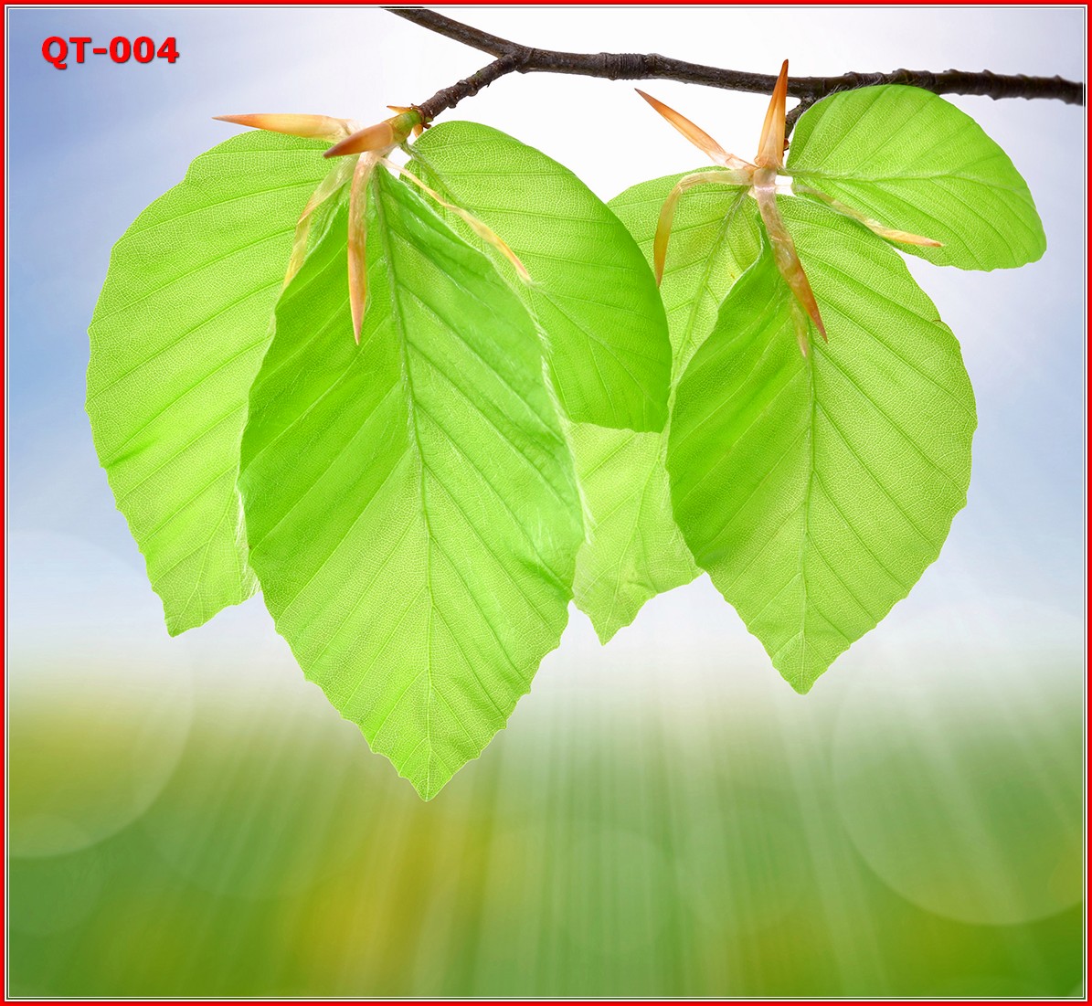 วอลเปเปอร์รูปภาพติดผนังสั่งทำ มีภาพให้เลือกกว่า 50,000 ภาพ ออกแบบกราฟฟิค หรือ รูปภาพตามที่ท่านกำหนด ในสไตล์ท่านเอง "custom made"