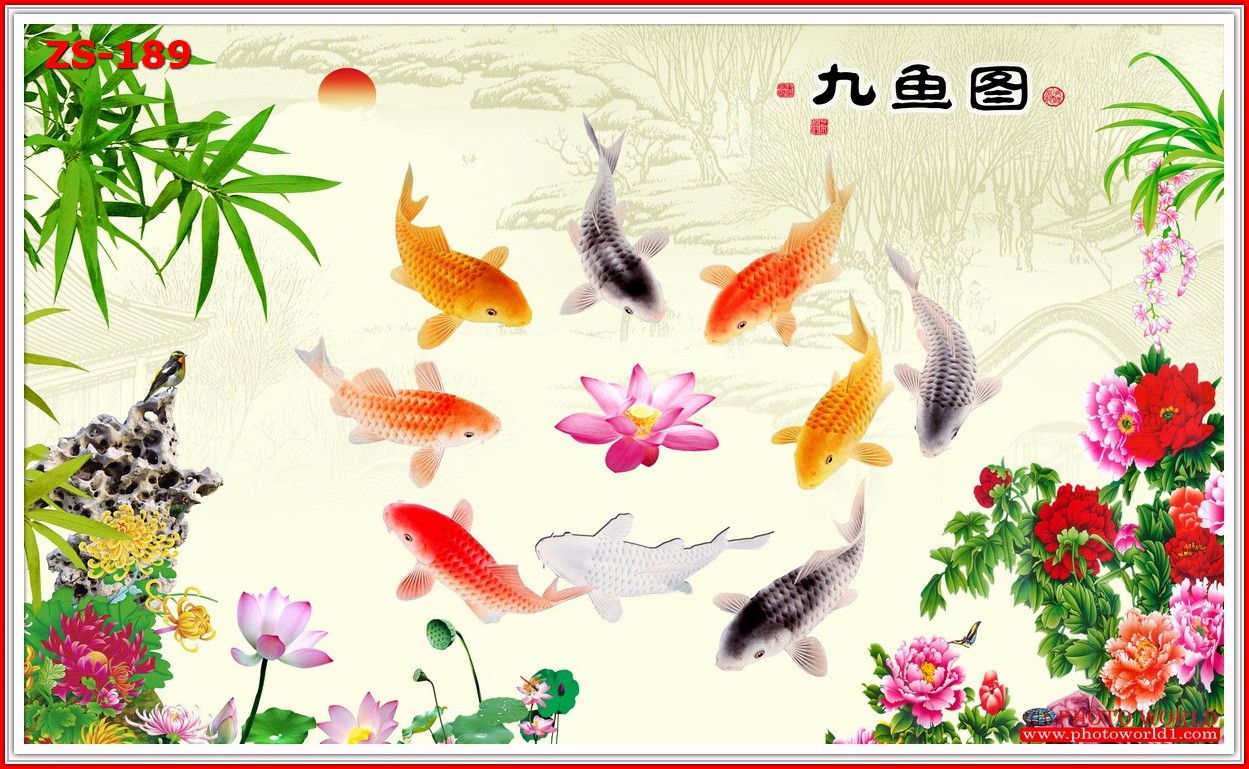 วอลเปเปอร์รูปภาพติดผนังสั่งทำ มีภาพให้เลือกกว่า 50,000 ภาพ ออกแบบกราฟฟิค หรือ รูปภาพตามที่ท่านกำหนด ในสไตล์ท่านเอง "custom made"