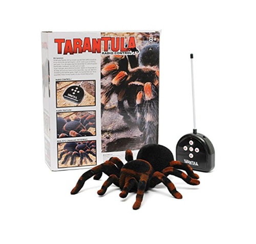 แมงมุม Tarantula บังคับ