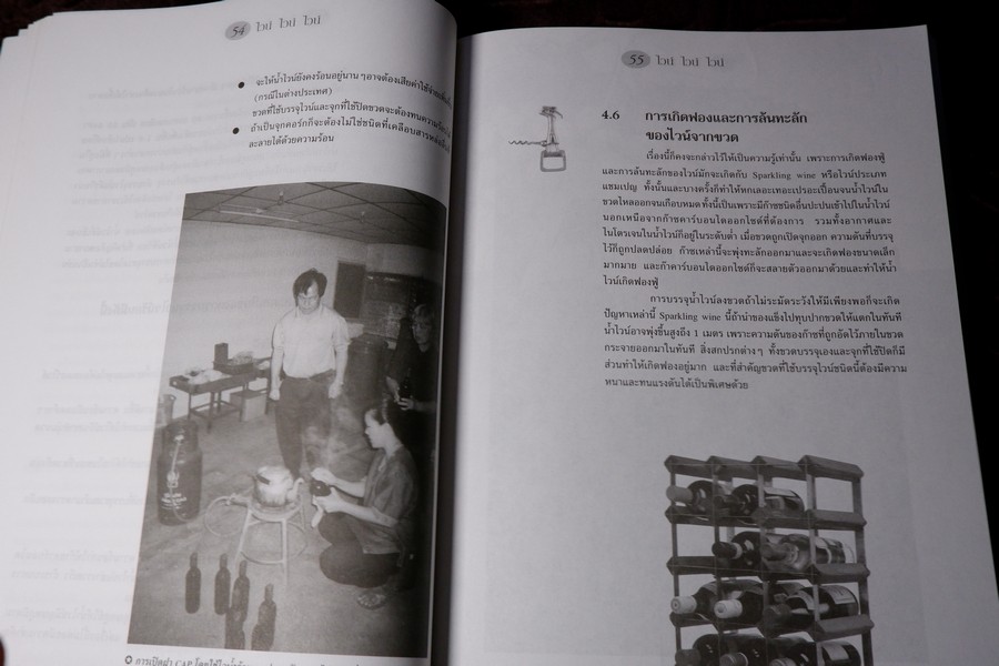 ไวน์ ไวน์ ไวน์ หนังสือสำหรับผู้ผลิตไวน์มือใหม่ โดย ชัยรัตน์ โมไนยพงศ์ (มีตำหนิ)