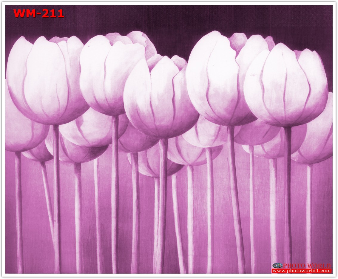 วอลเปเปอร์รูปภาพติดผนังสั่งทำ มีภาพให้เลือกกว่า 50,000 ภาพ ออกแบบกราฟฟิค หรือ รูปภาพตามที่ท่านกำหนด ในสไตล์ท่านเอง "custom made"