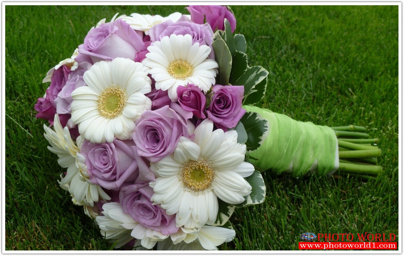 วอลเปเปอร์รูปภาพติดผนังสั่งทำ มีภาพให้เลือกกว่า 50,000 ภาพ ออกแบบกราฟฟิค หรือ รูปภาพตามที่ท่านกำหนด ในสไตล์ท่านเอง "custom made"