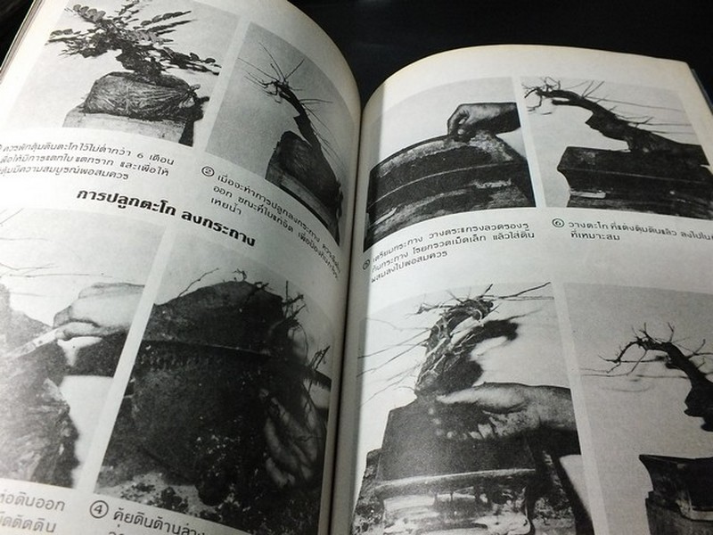 บอนไซ 01 02 03 รวม 3 เล่ม โดยชมรมบอนไซ(ไม้เเคระ) เเห่งประเทศไทย //สอบถาม//