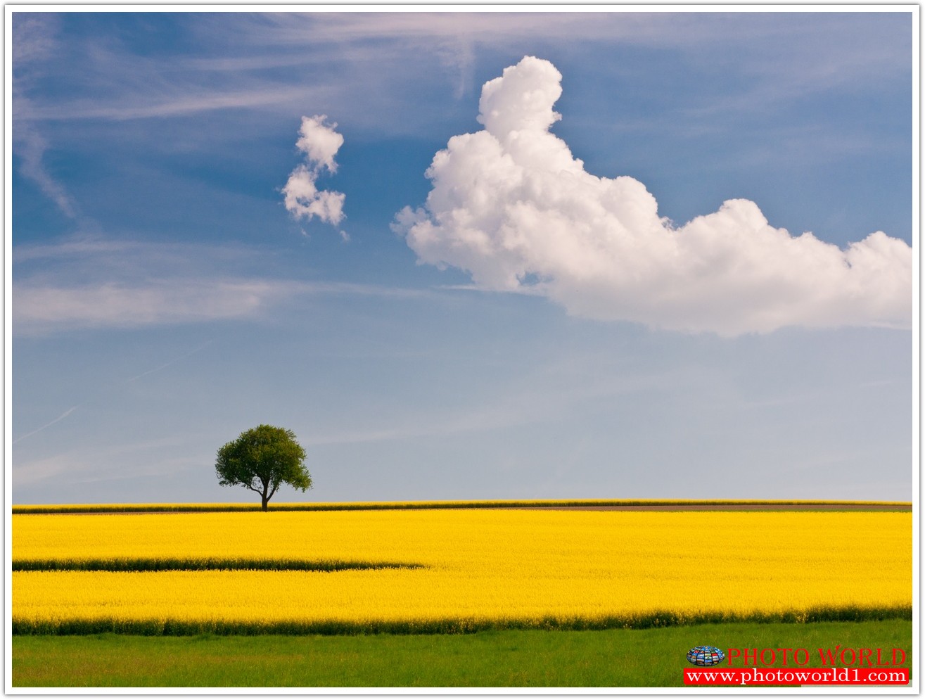 NATURAL วอลเปเปอร์รูปภาพติดผนังสั่งทำ มีภาพให้เลือกกว่า 50,000 ภาพ ออกแบบกราฟฟิค หรือ รูปภาพตามที่ท่านกำหนด ในสไตล์ท่านเอง "custom made"