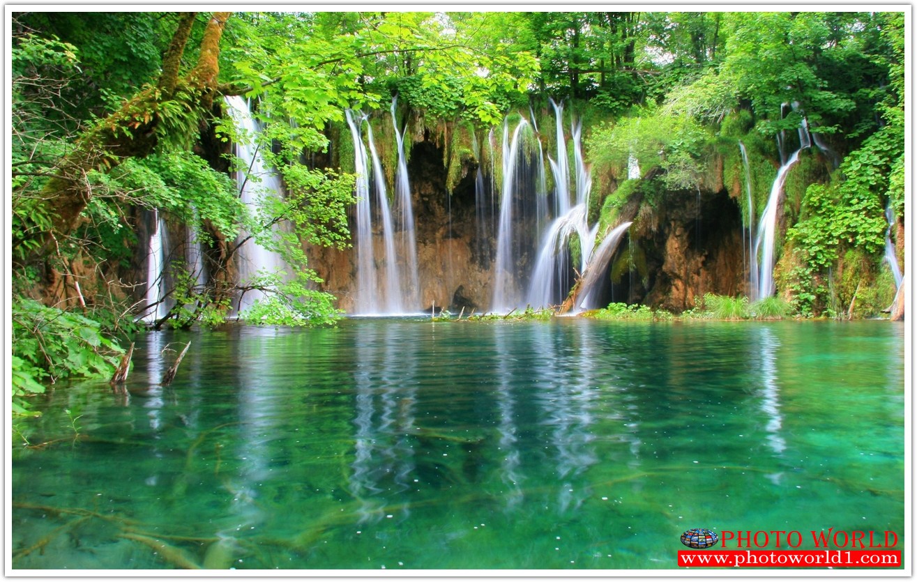 NATURAL วอลเปเปอร์รูปภาพติดผนังสั่งทำ มีภาพให้เลือกกว่า 50,000 ภาพ ออกแบบกราฟฟิค หรือ รูปภาพตามที่ท่านกำหนด ในสไตล์ท่านเอง "custom made"