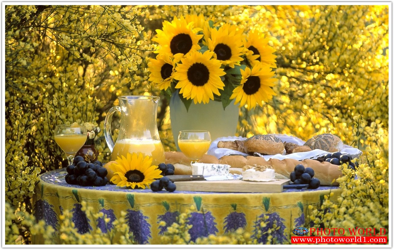 วอลเปเปอร์รูปภาพติดผนังสั่งทำ มีภาพให้เลือกกว่า 50,000 ภาพ ออกแบบกราฟฟิค หรือ รูปภาพตามที่ท่านกำหนด ในสไตล์ท่านเอง "custom made"