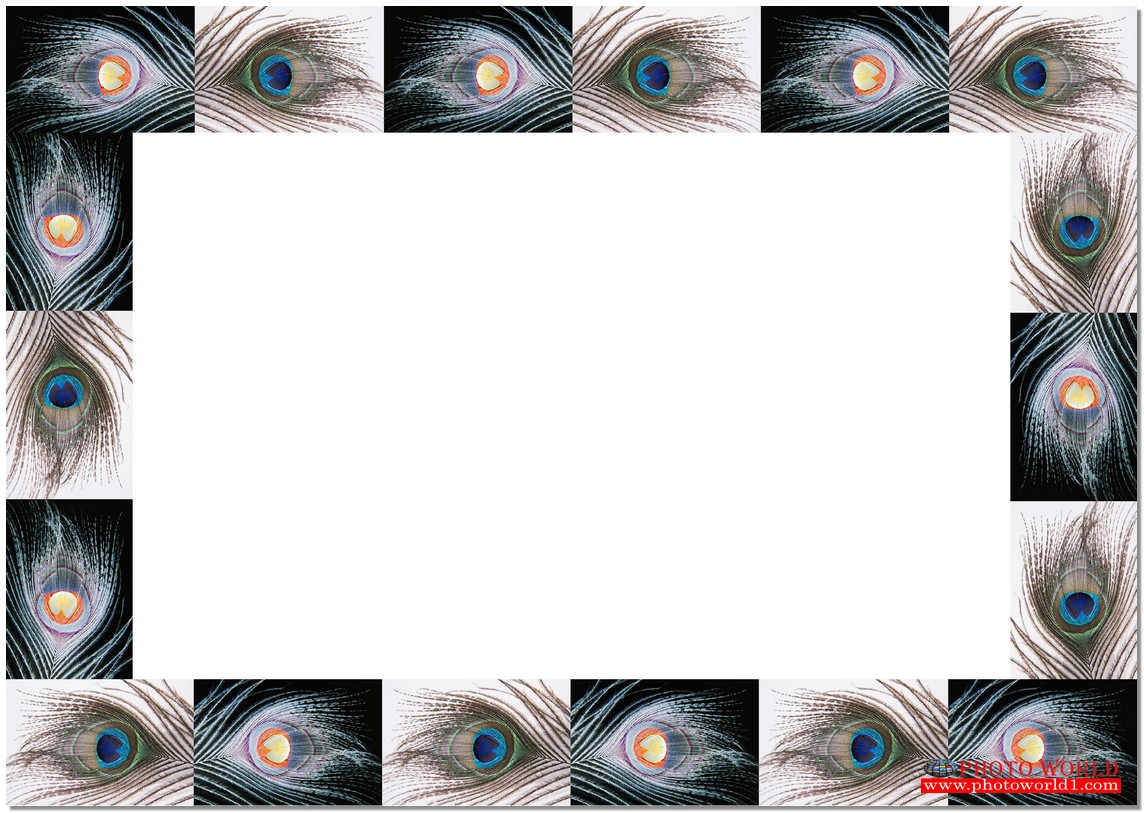 สั่งทำวอลเปเปอร์ รูปภาพติดผนัง มีภาพให้เลือกกว่า 50,000 ภาพ ออกแบบกราฟฟิค หรือ รูปภาพตามที่ท่านกำหนด ในสไตล์ท่านเอง "custom made"