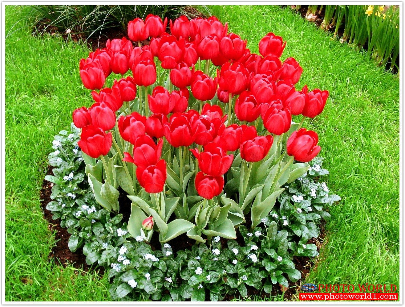 วอลเปเปอร์รูปภาพติดผนังสั่งทำ มีภาพให้เลือกกว่า 50,000 ภาพ ออกแบบกราฟฟิค หรือ รูปภาพตามที่ท่านกำหนด ในสไตล์ท่านเอง "custom made"