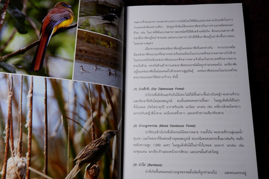 นกไทย ในบันทึกเเละความทรงจำ โดย สุธี ศุภรัฐวิกร พิมพ์ 1000 เล่ม ปี 2558 (มีตำหนิ)