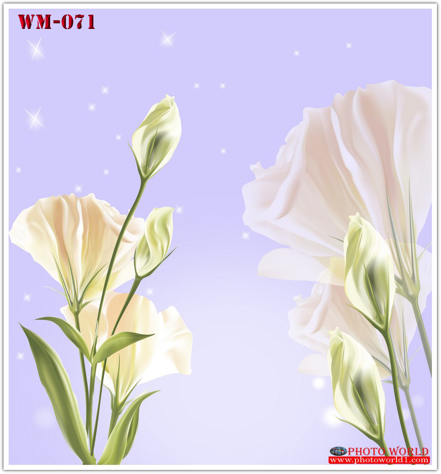 วอลเปเปอร์รูปภาพติดผนังสั่งทำ มีภาพให้เลือกกว่า 50,000 ภาพ ออกแบบกราฟฟิค หรือ รูปภาพตามที่ท่านกำหนด ในสไตล์ท่านเอง "custom made"