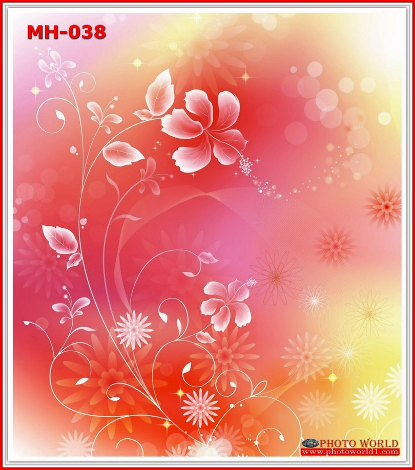 วอลเปเปอร์รูปภาพติดผนังสั่งทำ มีภาพให้เลือกกว่า 50,000 ภาพ ออกแบบกราฟฟิค หรือ รูปภาพตามที่ท่านกำหนด ในสไตล์ท่านเอง "custom made"