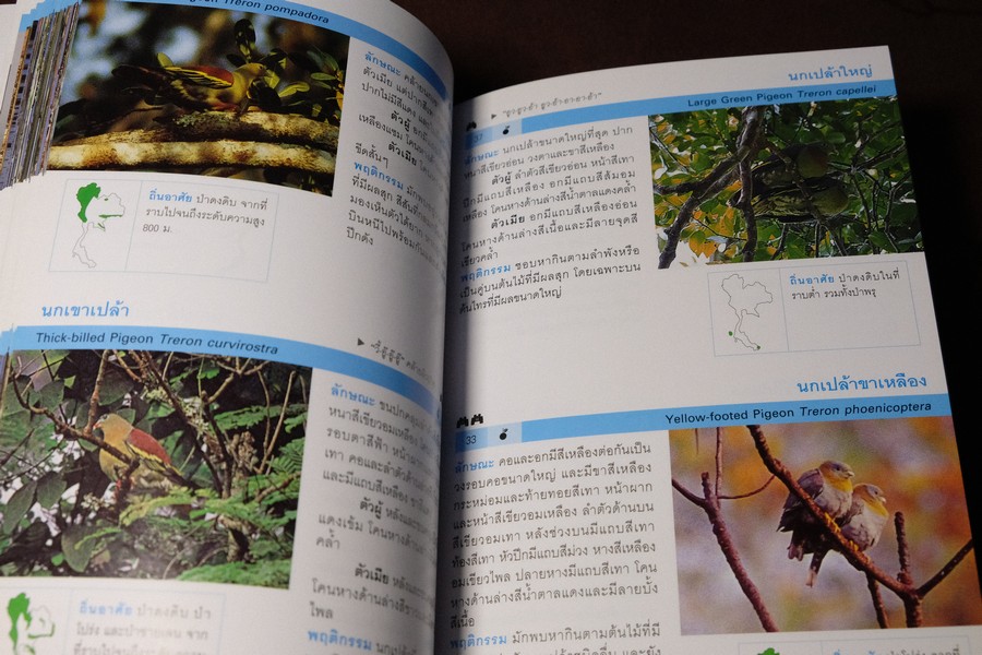 Thailand Bird Guide โดย ร่งโรจน์ จุกมงคล ปี 2549