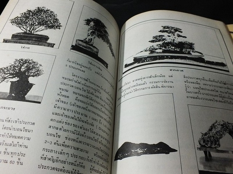 บอนไซ 01 02 03 รวม 3 เล่ม โดยชมรมบอนไซ(ไม้เเคระ) เเห่งประเทศไทย //สอบถาม//