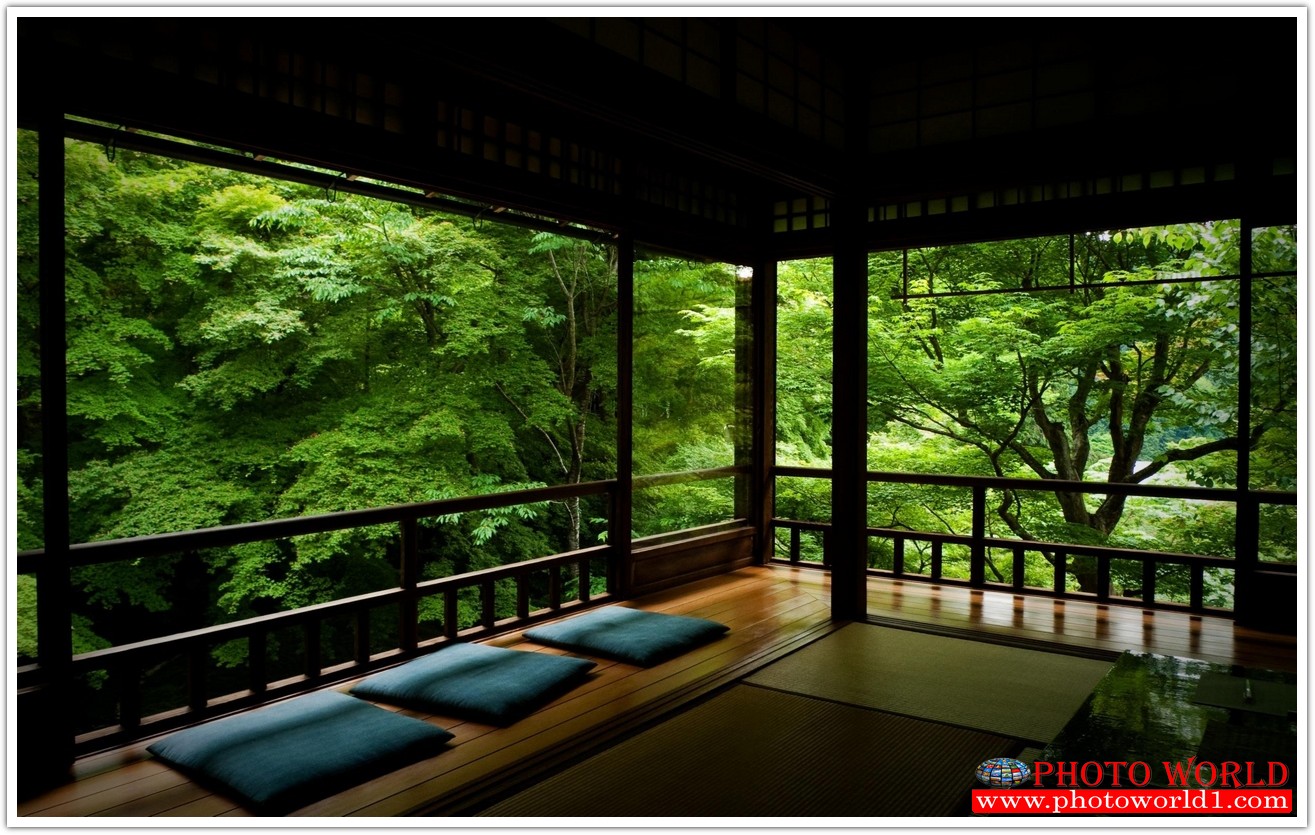 NATURAL วอลเปเปอร์รูปภาพติดผนังสั่งทำ มีภาพให้เลือกกว่า 50,000 ภาพ ออกแบบกราฟฟิค หรือ รูปภาพตามที่ท่านกำหนด ในสไตล์ท่านเอง "custom made"