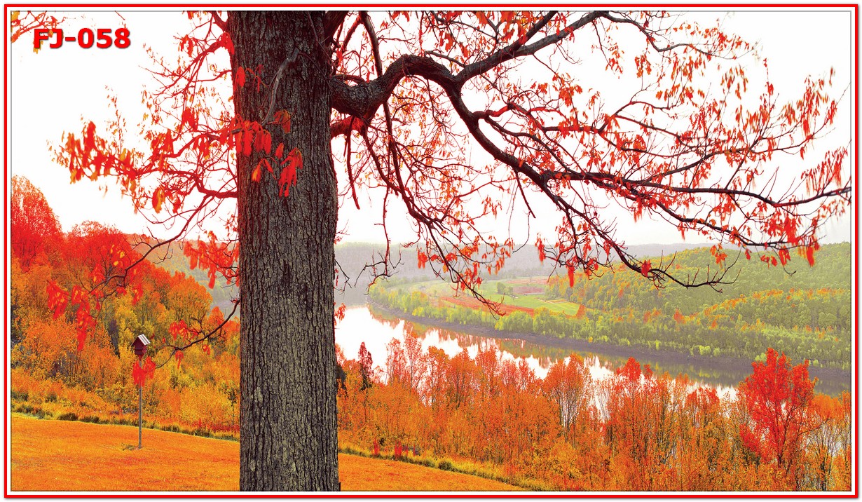 วอลเปเปอร์รูปภาพติดผนังสั่งทำ มีภาพให้เลือกกว่า 50,000 ภาพ ออกแบบกราฟฟิค หรือ รูปภาพตามที่ท่านกำหนด ในสไตล์ท่านเอง "custom made"