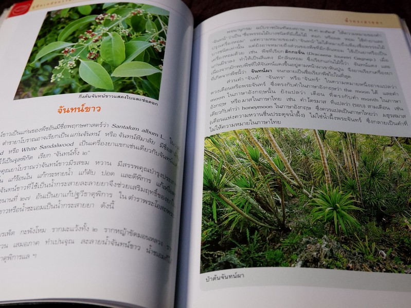 คู่มือเภสัชกรรมเเผนไทย โดย ชยันจ์ พิเชียรสุนทร เเละวิเชียร จีรวงส์ รวม 6 เล่ม (สอบถาม)