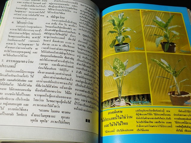 สารานุกรมว่านไทย ฉบับสมบูรณ์ โดย ทัศนา ทัศนมิตร-ดำรงศักดิ์ นาคนิยม (สอบถาม)