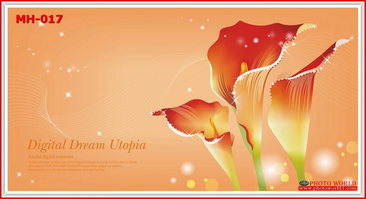 วอลเปเปอร์รูปภาพติดผนังสั่งทำ มีภาพให้เลือกกว่า 50,000 ภาพ ออกแบบกราฟฟิค หรือ รูปภาพตามที่ท่านกำหนด ในสไตล์ท่านเอง "custom made"