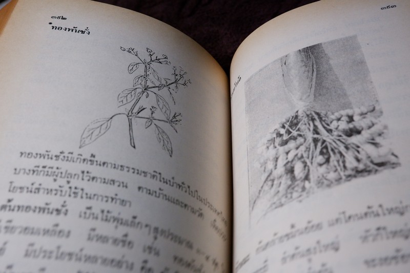 ตำรายาไทย-จีน (ยากลางบ้าน ยาสมุนไพร ยาเเผนโบราณ) โดย ร.ศ.พัฒน์ สุจำนงค์ ปี 2528