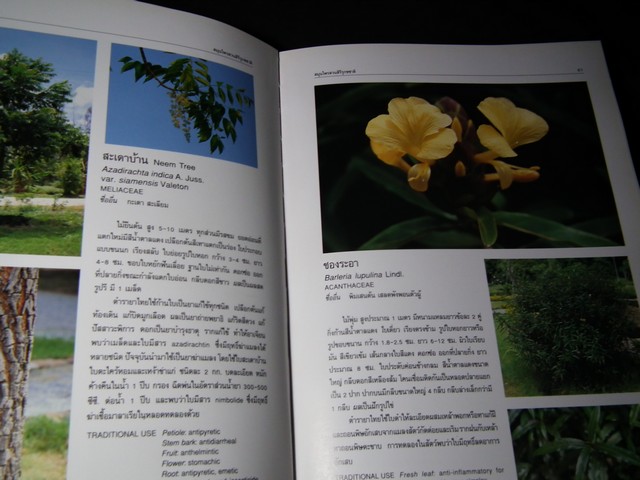 สมุนไพร สวนสิรีรุกขชาติ โดย คณะเภสัชฯ ม.มหิดล ปกแข็ง ปี 2539