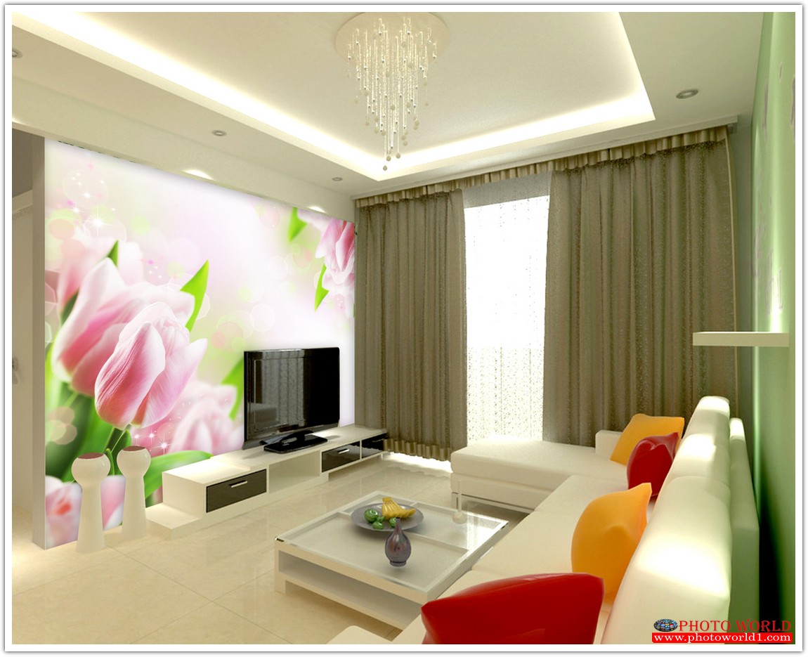 วอลเปเปอร์รูปภาพติดผนังสั่งทำ มีภาพให้เลือกกว่า 50,000 ภาพ ออกแบบกราฟฟิค หรือ รูปภาพตามที่ท่านกำหนด ในสไตล์ท่านเอง "custom made"