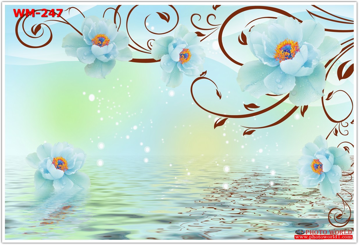 วอลเปเปอร์รูปภาพติดผนังสั่งทำ มีภาพให้เลือกกว่า 50,000 ภาพ ออกแบบกราฟฟิค หรือ รูปภาพตามที่ท่านกำหนด ในสไตล์ท่านเอง "custom made"