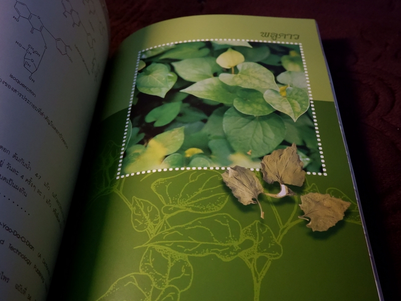 สมุนไพรไทย-จีน โดย กรมวิทยาศาสตร์การเเพทย์ กระทรวงสาธารณสุข