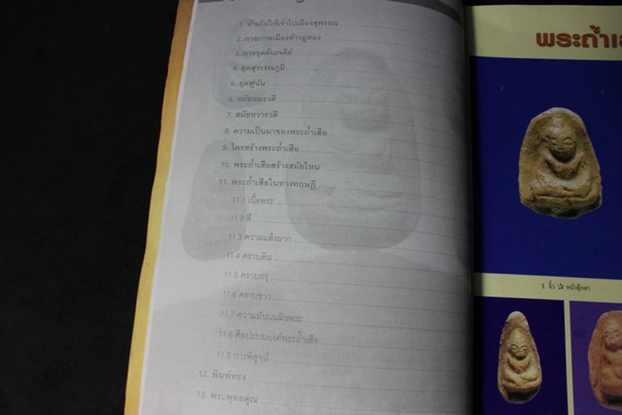 ศาสตร์เเละศิลป์ โบราณคดี ของ พระถ้ำเสือ เเละ พระถ้ำเสือกรุวัดเขาดีสลัก รวม 2 เล่ม เเละ VCD