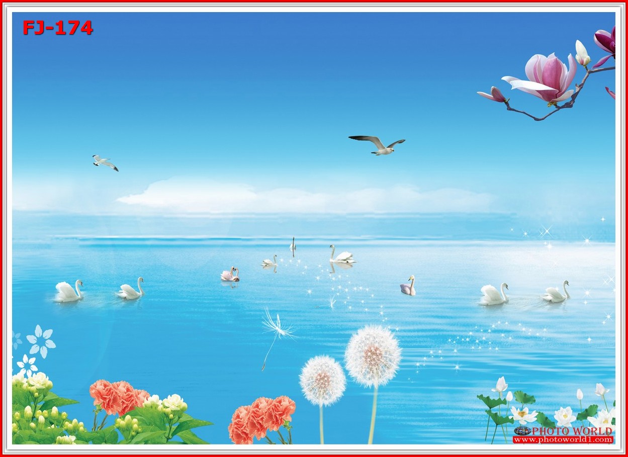 วอลเปเปอร์รูปภาพติดผนังสั่งทำ มีภาพให้เลือกกว่า 50,000 ภาพ ออกแบบกราฟฟิค หรือ รูปภาพตามที่ท่านกำหนด ในสไตล์ท่านเอง "custom made"