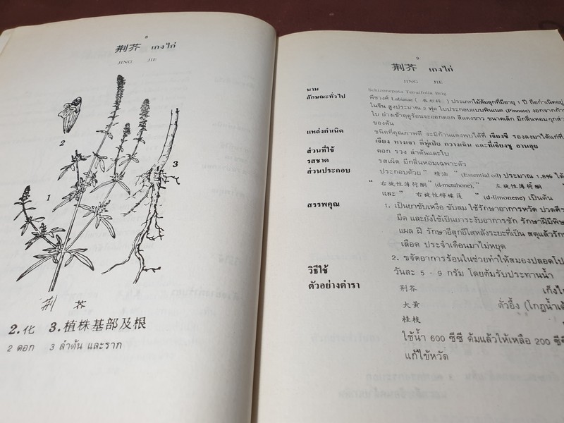 สมุนไพรจีน โดย เจนกิจ เวชพงศา