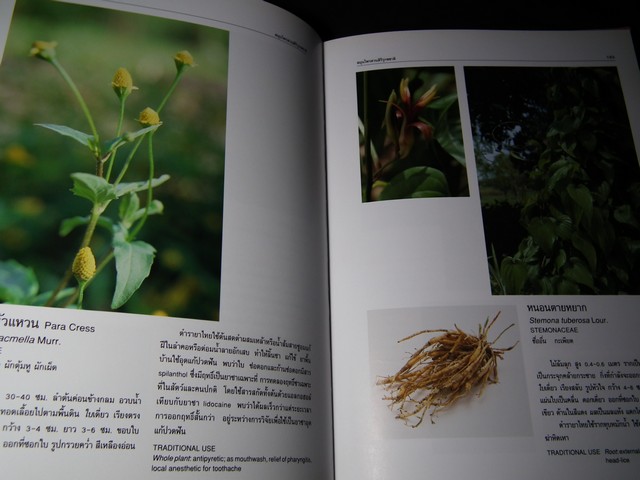 สมุนไพร สวนสิรีรุกขชาติ โดย คณะเภสัชฯ ม.มหิดล ปกแข็ง ปี 2539