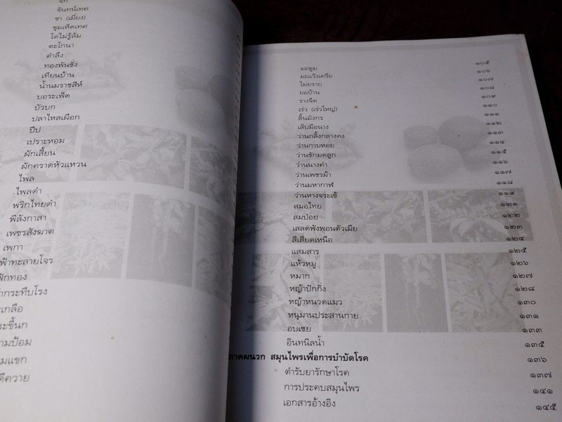 สมุนไพรเพื่อการบำบัดโรค เเก้ว กาญจนา