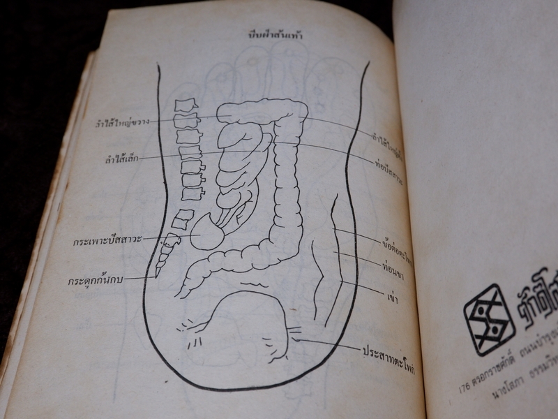 ตำรายาเเผนโบราณ รวบรวมโดย เบญจมาศ พลอินทร์ จัดพิมพ์เป็นอนุสรณ์คุณพ่อเเถม ใยมณี ปี 2524