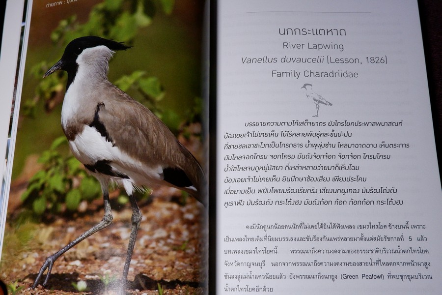 นกไทย ในบันทึกเเละความทรงจำ โดย สุธี ศุภรัฐวิกร พิมพ์ 1000 เล่ม ปี 2558 (มีตำหนิ)