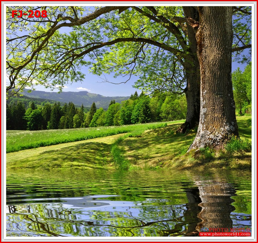 วอลเปเปอร์รูปภาพติดผนังสั่งทำ มีภาพให้เลือกกว่า 50,000 ภาพ ออกแบบกราฟฟิค หรือ รูปภาพตามที่ท่านกำหนด ในสไตล์ท่านเอง "custom made"