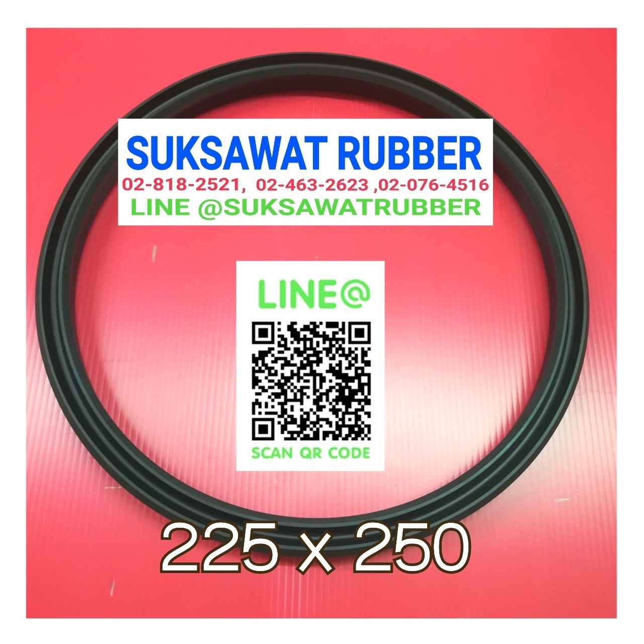 OIL SEAL ซีลกันน้ำมัน