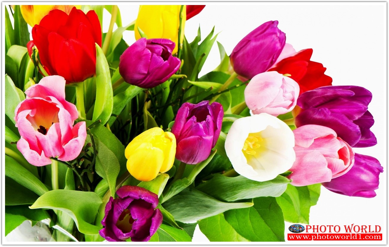 วอลเปเปอร์รูปภาพติดผนังสั่งทำ มีภาพให้เลือกกว่า 50,000 ภาพ ออกแบบกราฟฟิค หรือ รูปภาพตามที่ท่านกำหนด ในสไตล์ท่านเอง "custom made"