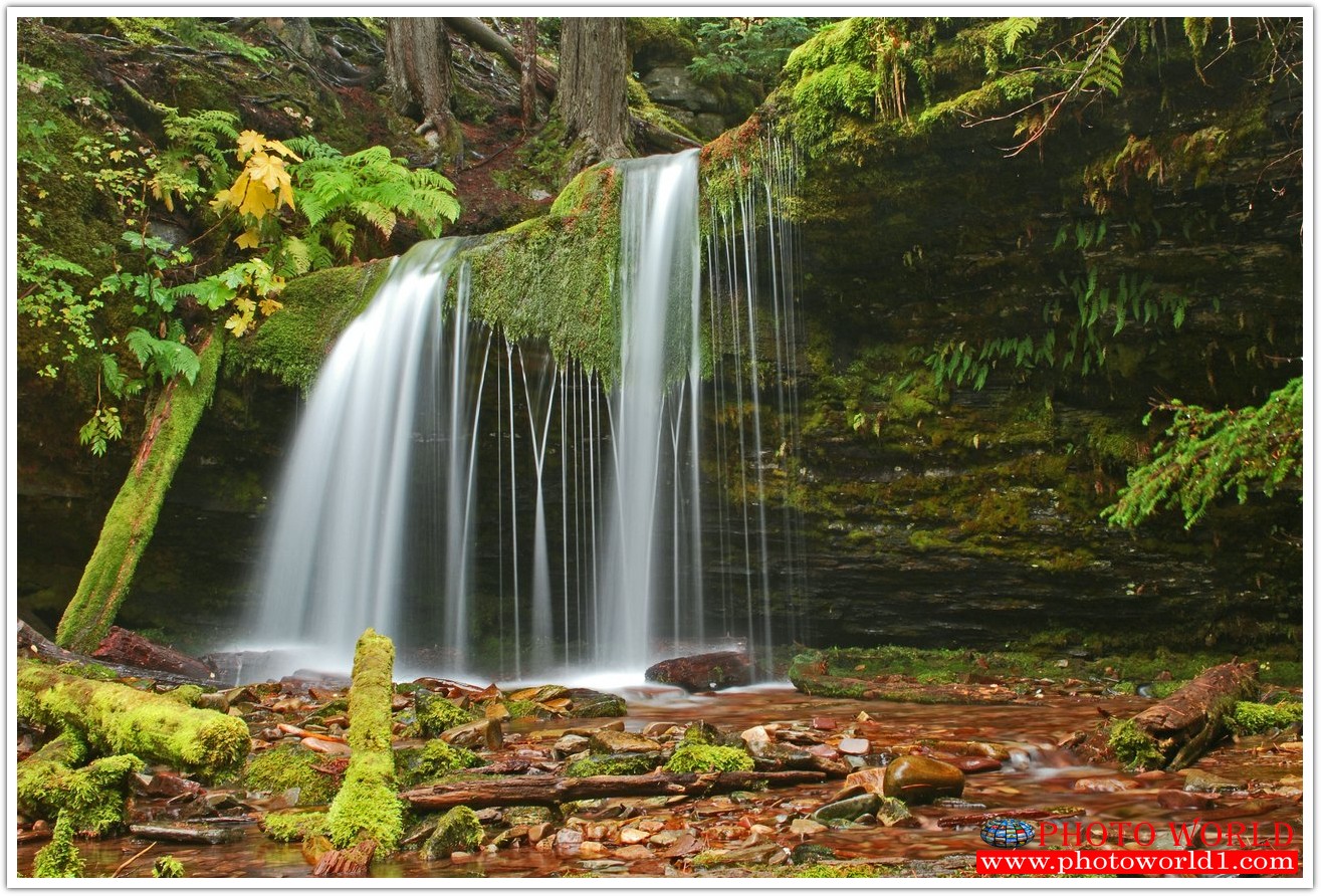 NATURAL วอลเปเปอร์รูปภาพติดผนังสั่งทำ มีภาพให้เลือกกว่า 50,000 ภาพ ออกแบบกราฟฟิค หรือ รูปภาพตามที่ท่านกำหนด ในสไตล์ท่านเอง "custom made"