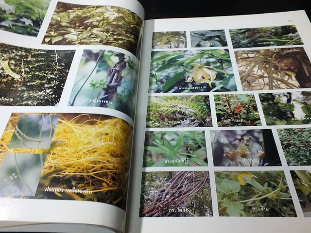 เภสัชกรรมไทย รวมสมุนไพร โดย วุฒิ วุฒิธรรมเวช ปี 2537