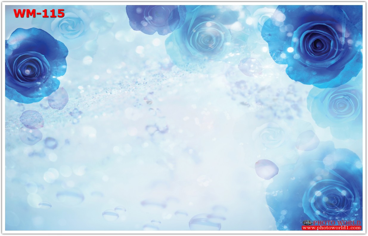 วอลเปเปอร์รูปภาพติดผนังสั่งทำ มีภาพให้เลือกกว่า 50,000 ภาพ ออกแบบกราฟฟิค หรือ รูปภาพตามที่ท่านกำหนด ในสไตล์ท่านเอง "custom made"